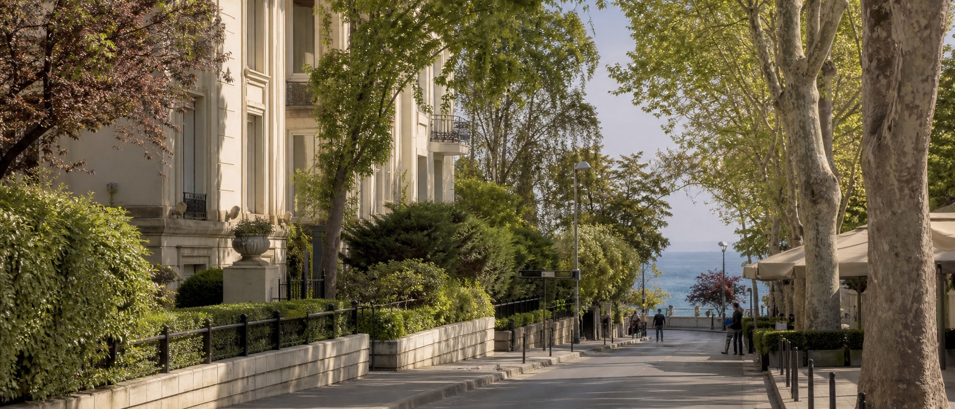 A calm, tree-lined Istanbul street descending toward the Marmara Sea in morning light